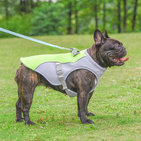 CoolDogVest
